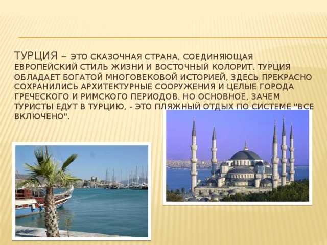 Почему в турции относятся к котам так же, как в индии к коровам » кошка ветра