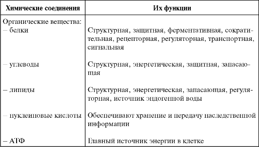Химический состав клетки. неорганические вещества клетки. физические свойства воды. биологические функции воды.