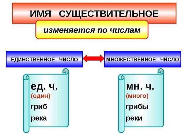 Число имени существительного 5 класс онлайн-подготовка на ростелеком лицей | тренажеры и разбор заданий