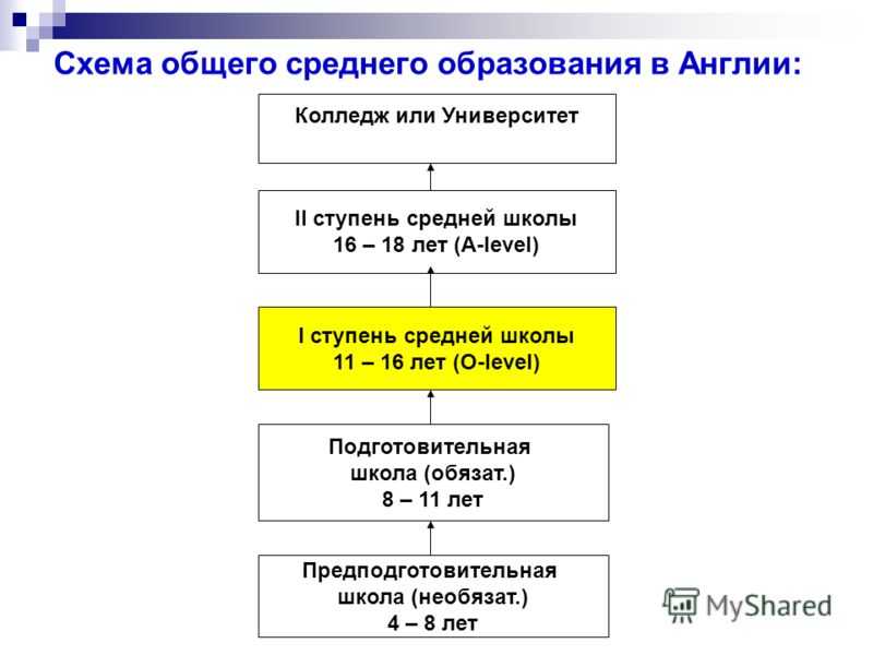 Обществознание боголюбов §3