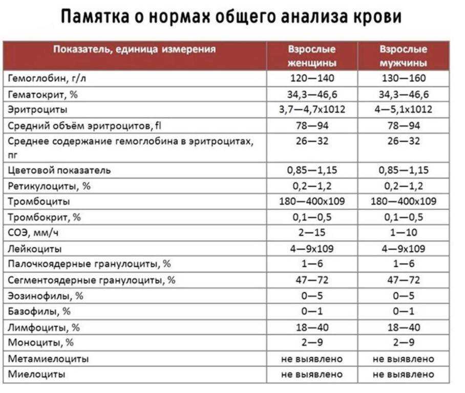 Как взять анализ мочи у кота?