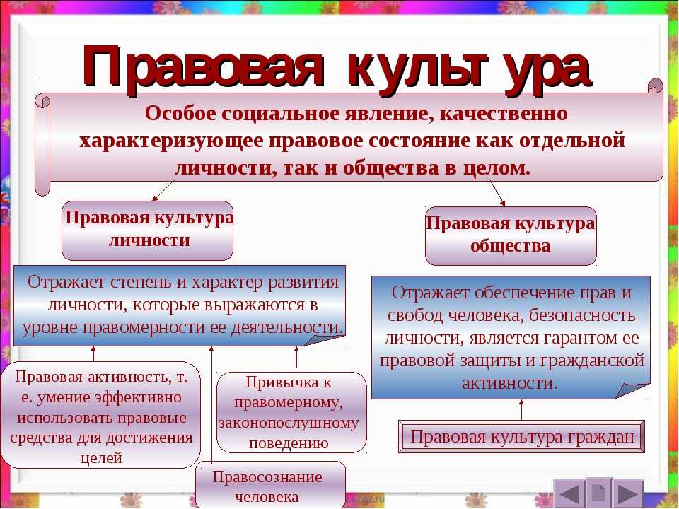Правонарушение: понятие, признаки, виды