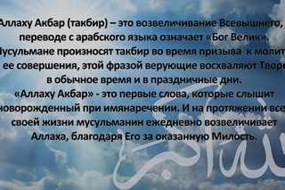 Какие значения может иметь слово 'мардак' в различных контекстах? - querysphinx