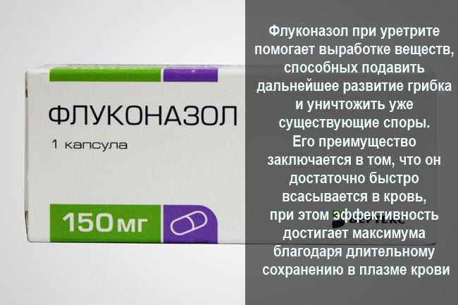 Почкующиеся бластоспоры в мазке – что это?