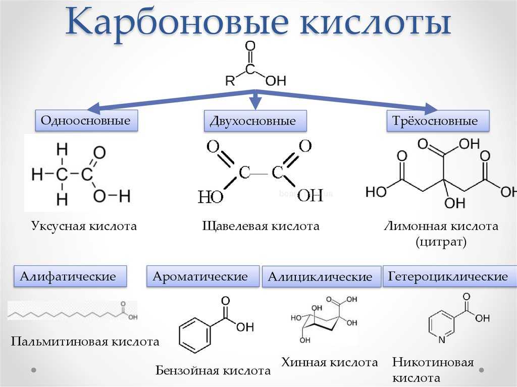Карбоновые кислоты и их производные. гетероциклические соединения