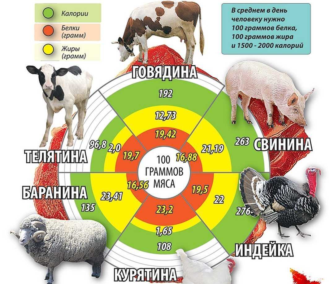 Правильное питание для здорового образа жизни: режим на зож
правильное питание для здорового образа жизни: режим на зож