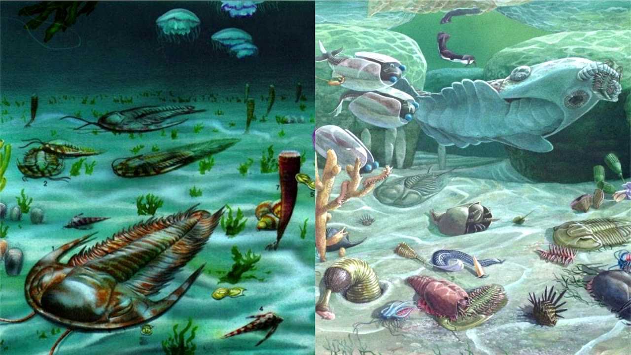 Сколько лет человечеству на самом деле