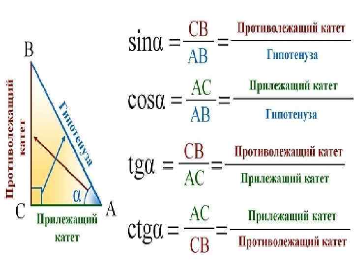Что такое синус, косинус, тангенс и котангенс