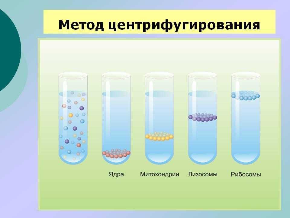 Центрифугирование