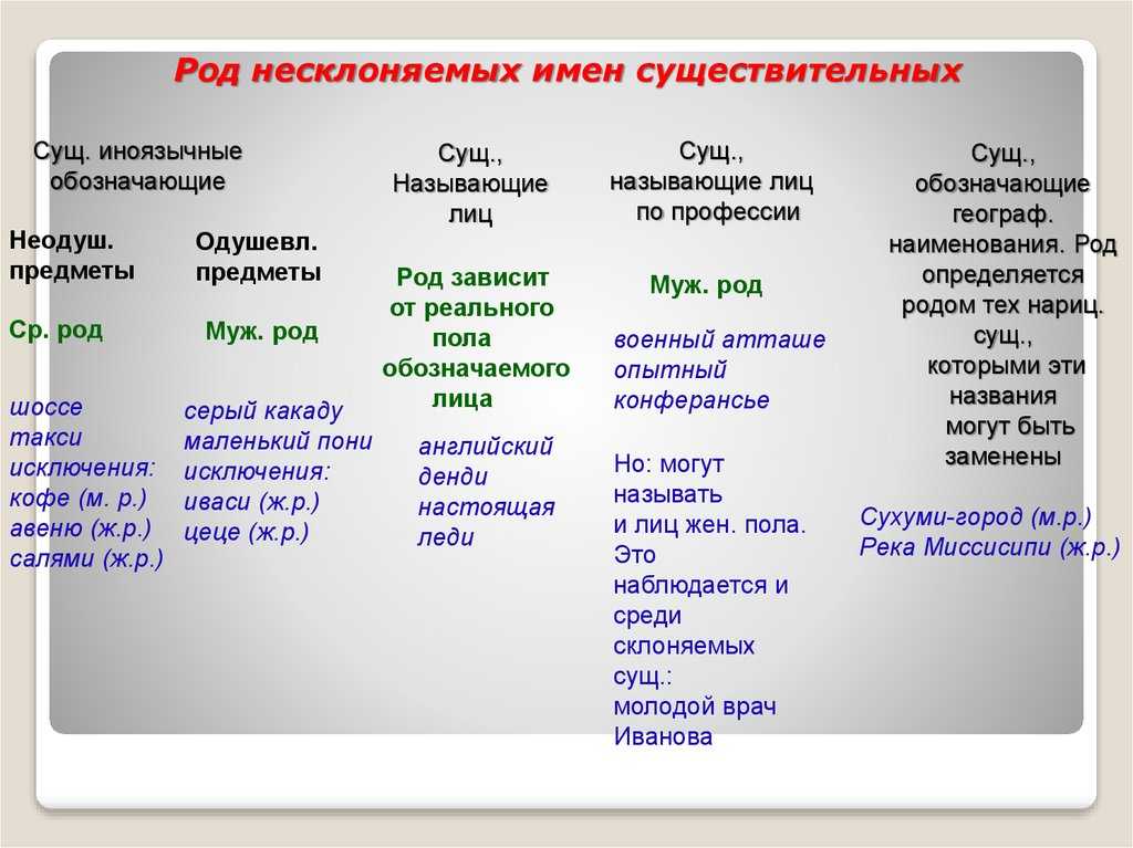 Род имён существительных (мужской, женский, средний, общий)