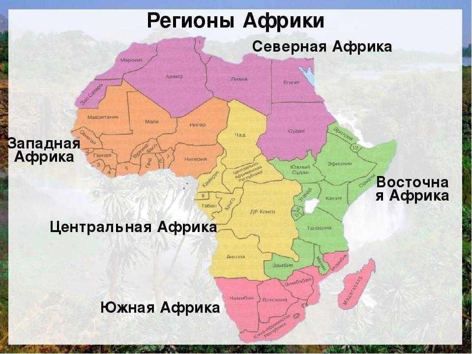 Интересные факты об африке: фото
