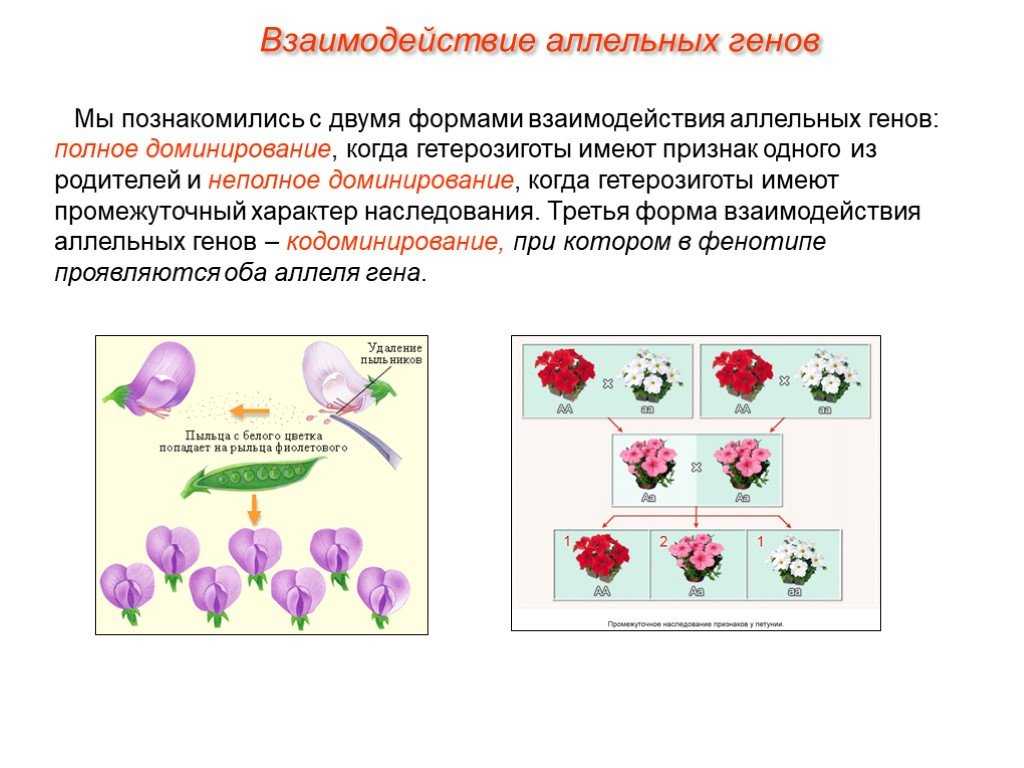 Доминирование это в психологии и менеджменте? подчинение это в психологии и переговорах?