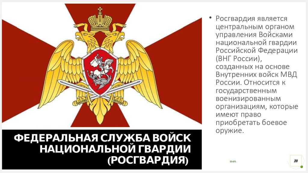 Отличия полиции и росгвардии. зачем создали росгвардию?