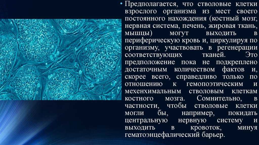Клетка как биологическая система - прокариоты и эукариоты