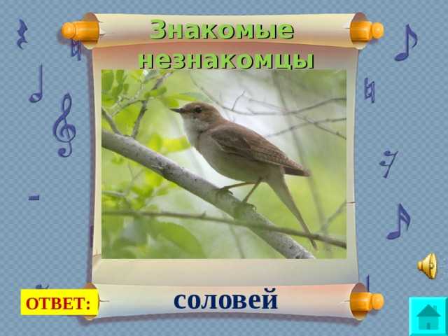 Его ждут как соловей лета: что это за явление и как оно происходит