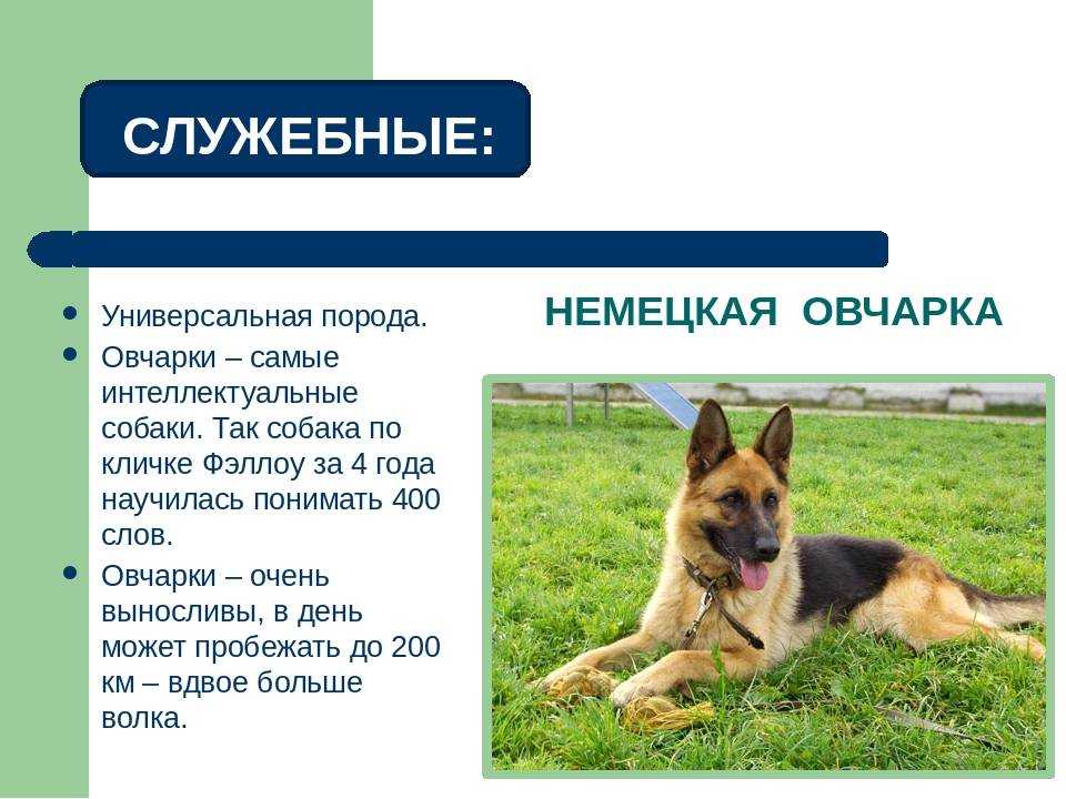 Витамины для волос: топ средств, одобренных врачами