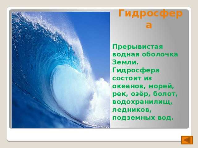 Моря тихого океана, а так же заливы и проливы: особенности местоположения водоема