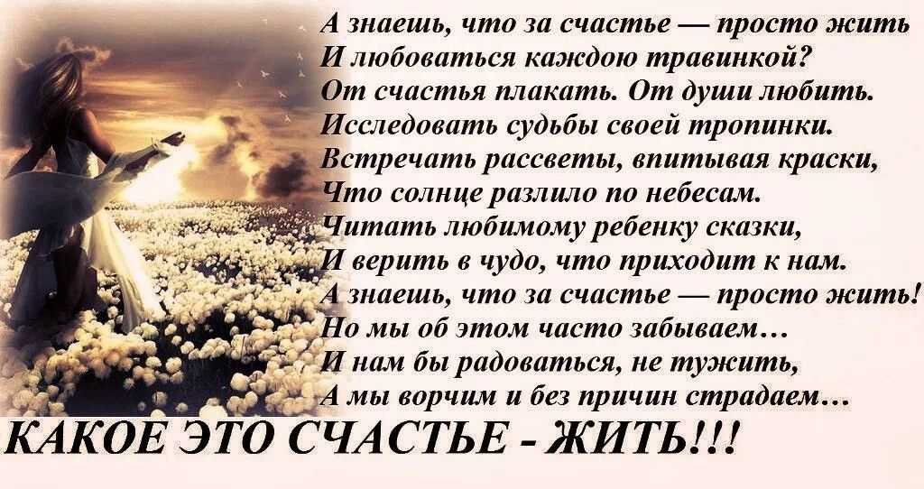 Основные правила русского языка 1-4 класс коротко с примерами – свод правил, пособия