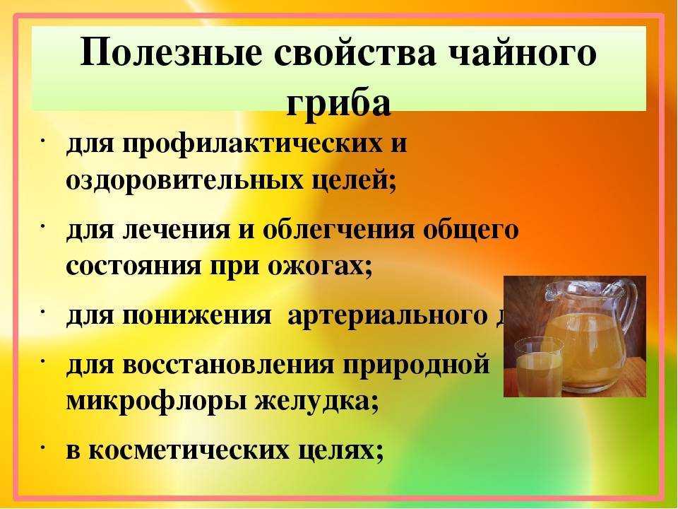 Инструкция по уходу и приготовлению напитка чайного гриба
