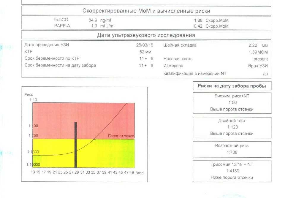 Классификация эмбрионов при эко: качество, культивация и их классы