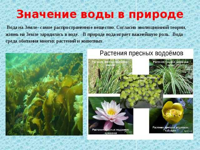 Почему идёт дождь?