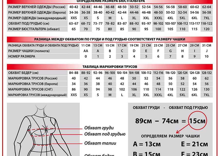 Виды бюстгальтеров | женский портал malimar.ru