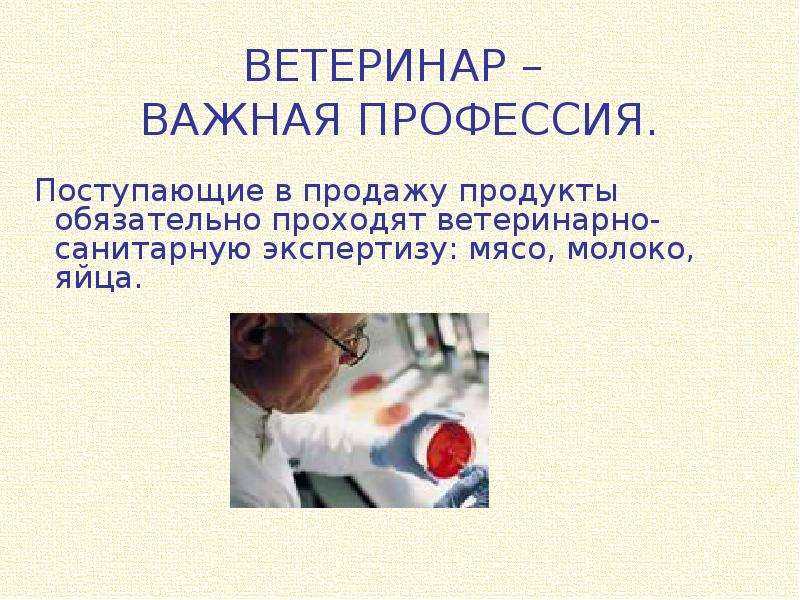 Писатель