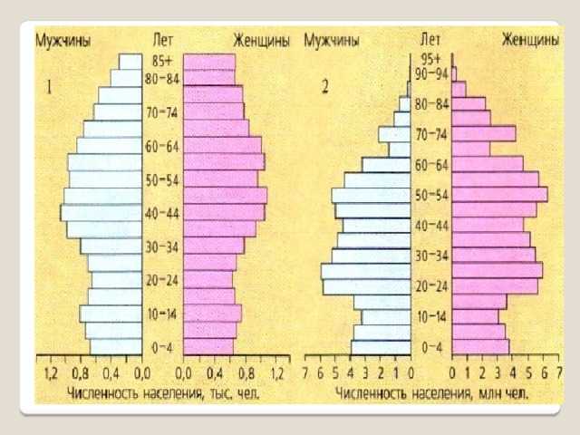 Что такое демографический показатель и как он определяется?