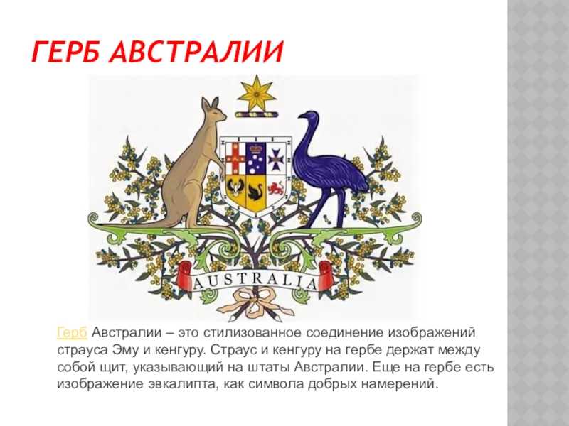 Что полезно знать об австралии: интересные факты о стране, природе и культуре