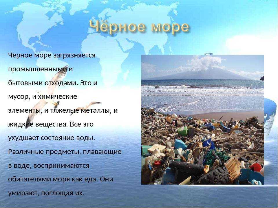 Самое чистое море в россии. какие моря омывают россию? самые чистые пляжи в россии
