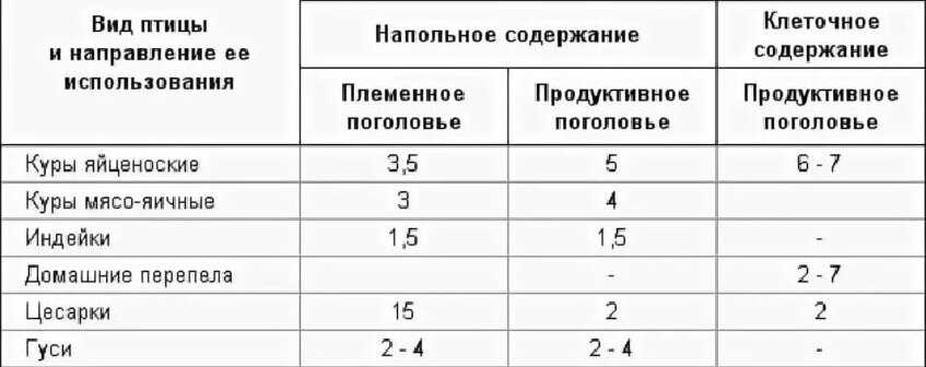 Как содержать кур в клетках?