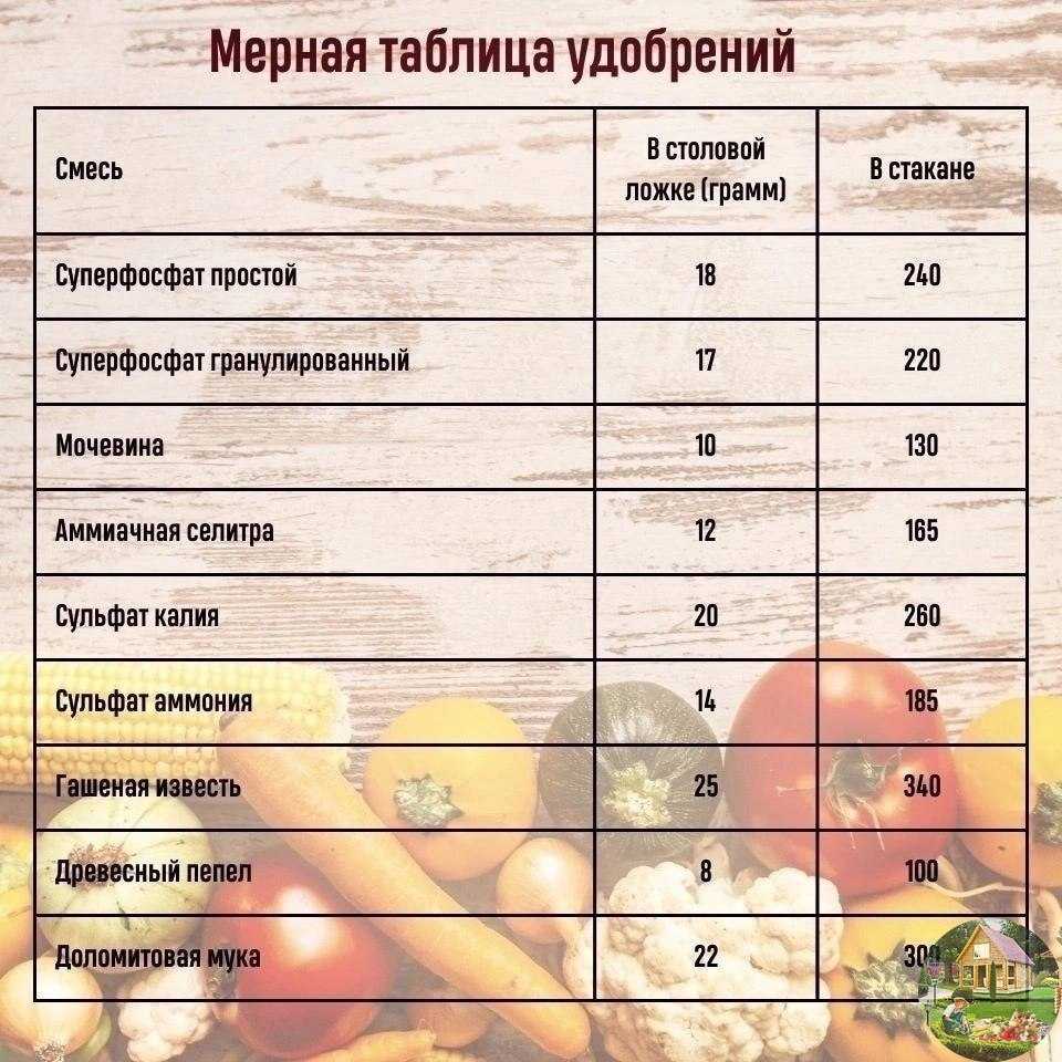 Как отмерить нужное количество без весов. как отмерить нужный вес продуктов без взвешивания | модная подружка
