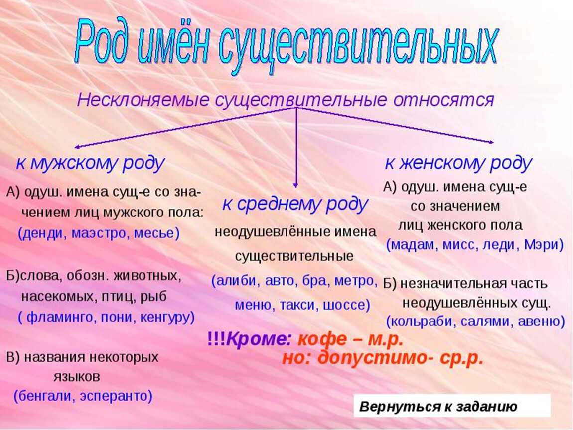 Что такое род имен существительных, как определить