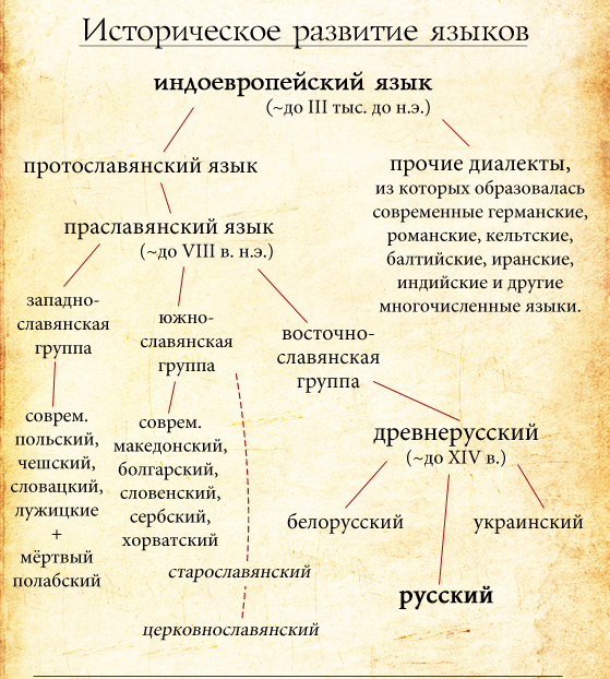 Разговорная лексика в русском языке: сущность, особенности и примеры