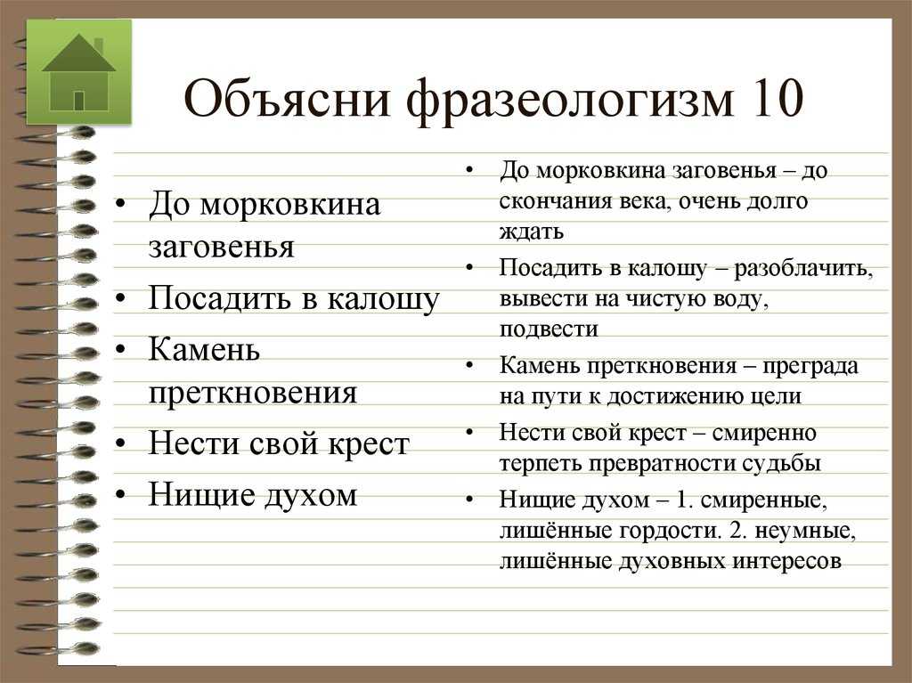 Какое животное издает блеющие звуки? | читатель домашних животных