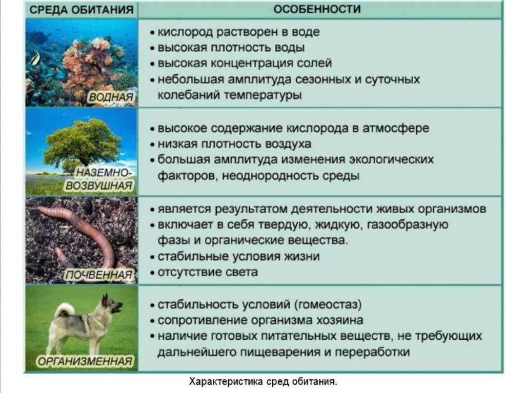 Водная среда обитания