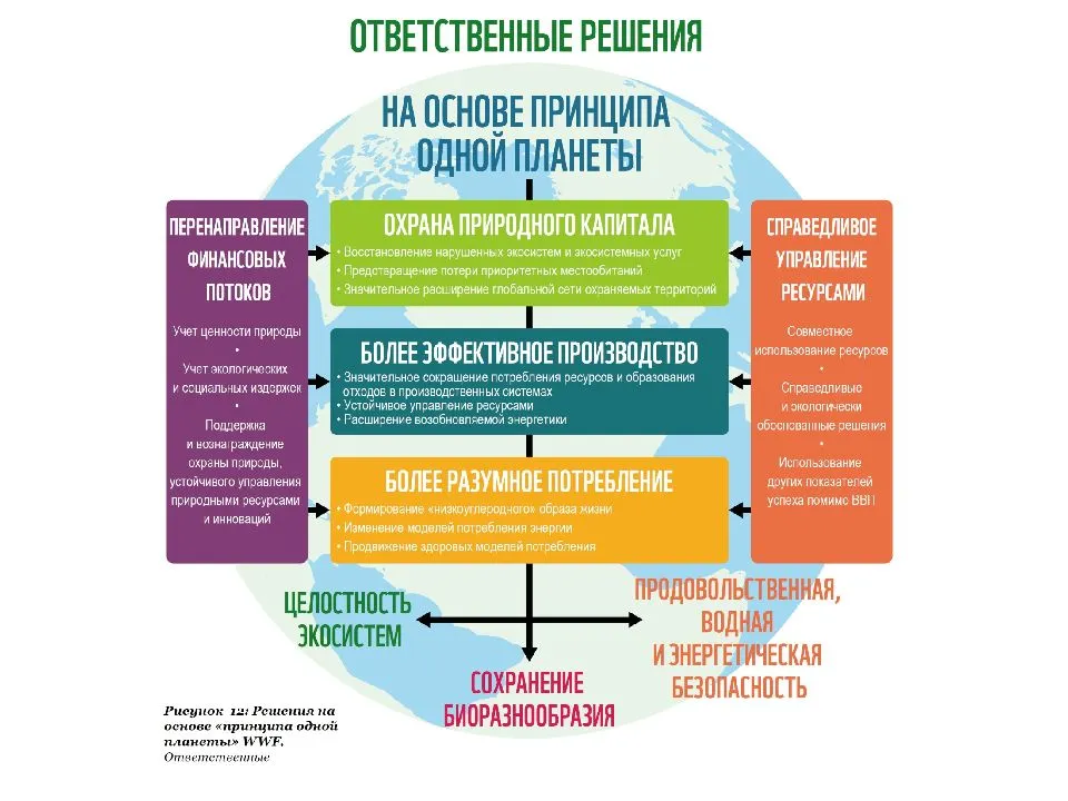 Сосиски: разновидности, выбор, лучшие торговые марки
