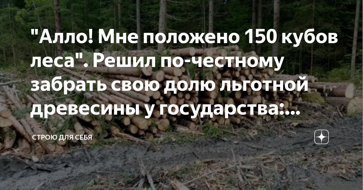 Как получить бесплатный лес от государства: 150 кубов на строительство жилого дома, кому положен