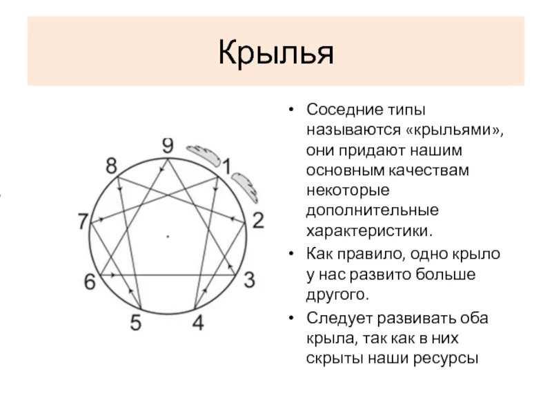 Босс наблюдателю не товарищ! 9 типов личности по эннеаграмме и как они совместимы между собой