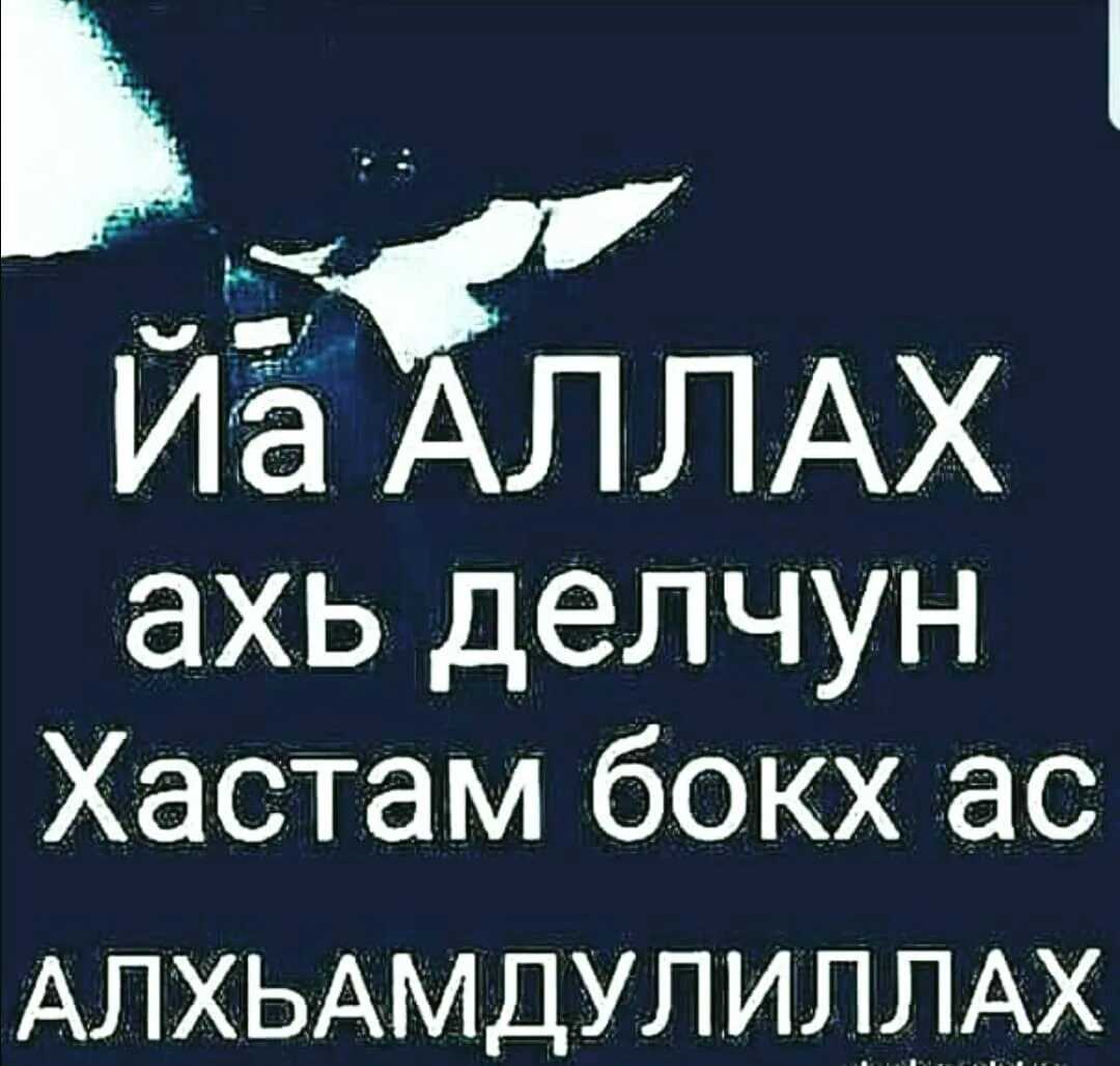 Что означает "бах" по-немецки: толкование и перевод