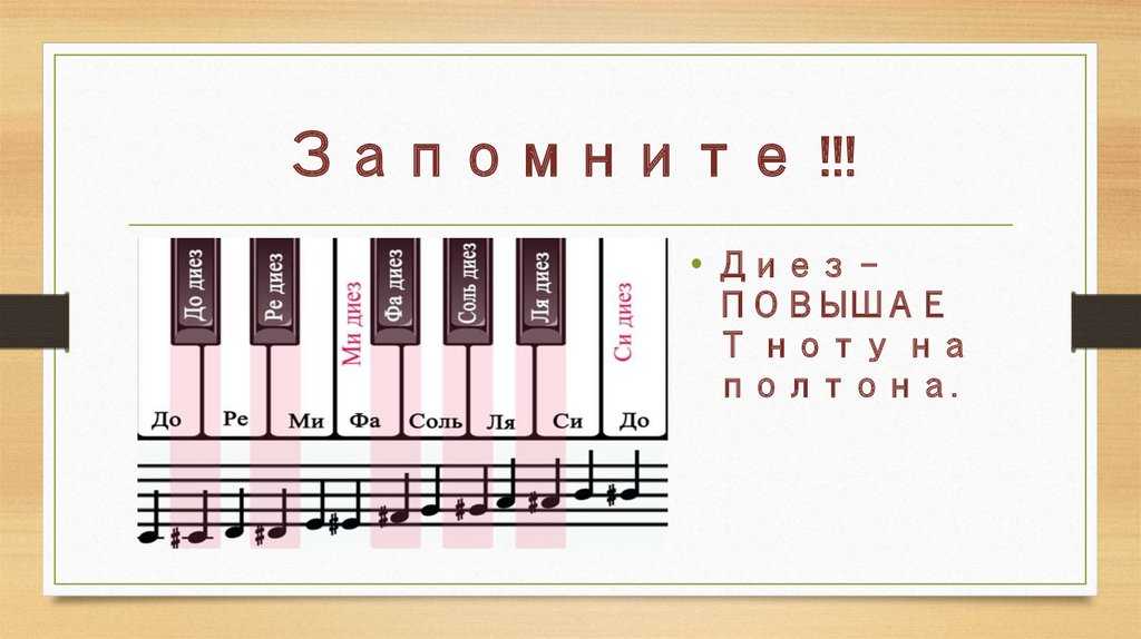 Нотная грамота для начинающих фортепиано — основные положения