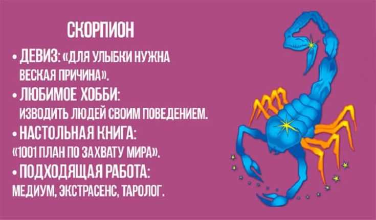 Скорпион - характеристика знака зодиака по гороскопу