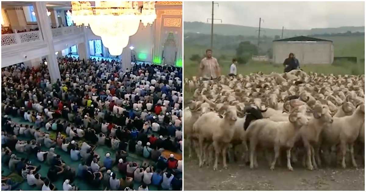Традиционные осенние праздники в разных культурах ⋆ sova.today