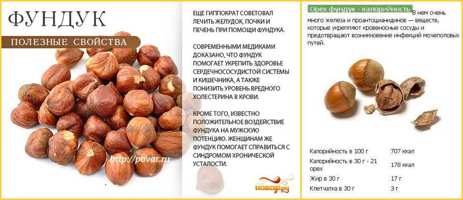 Конский каштан