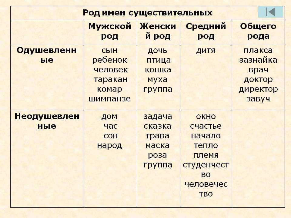 Трудные случаи определения рода существительных (3 видео) | история русского языка 📕