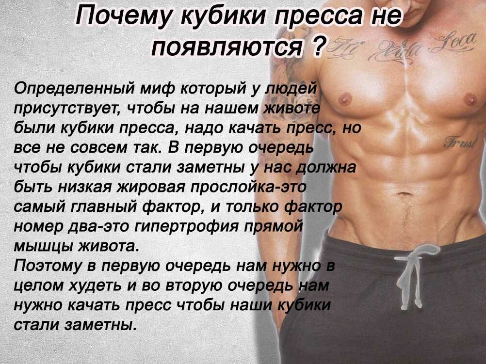 Пресс одна из самых популярных и желанных мышц для тренировки Крепкий пресс считается признаком силы и мускулистого телосложения Многие спортсмены и