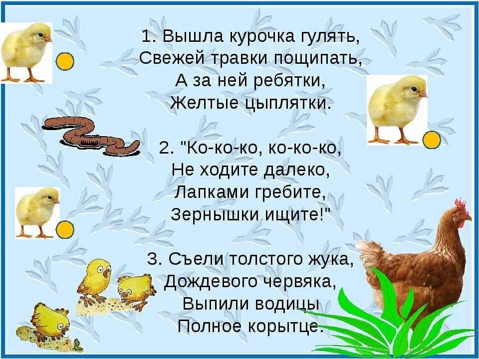Что означает фразеологическое выражение "будто квочки с цыплятами"? - skazhivoprosy.ru