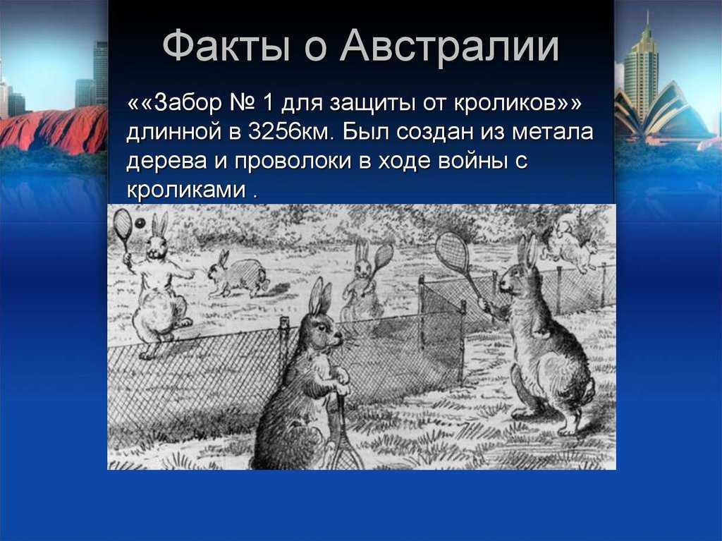 Игра русская рыбалка 3.6 installsoft edition (русская) 2012 repack скачать бесплатно