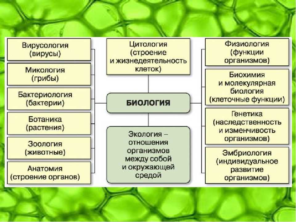 Биология – наука о живой природе (5 класс)