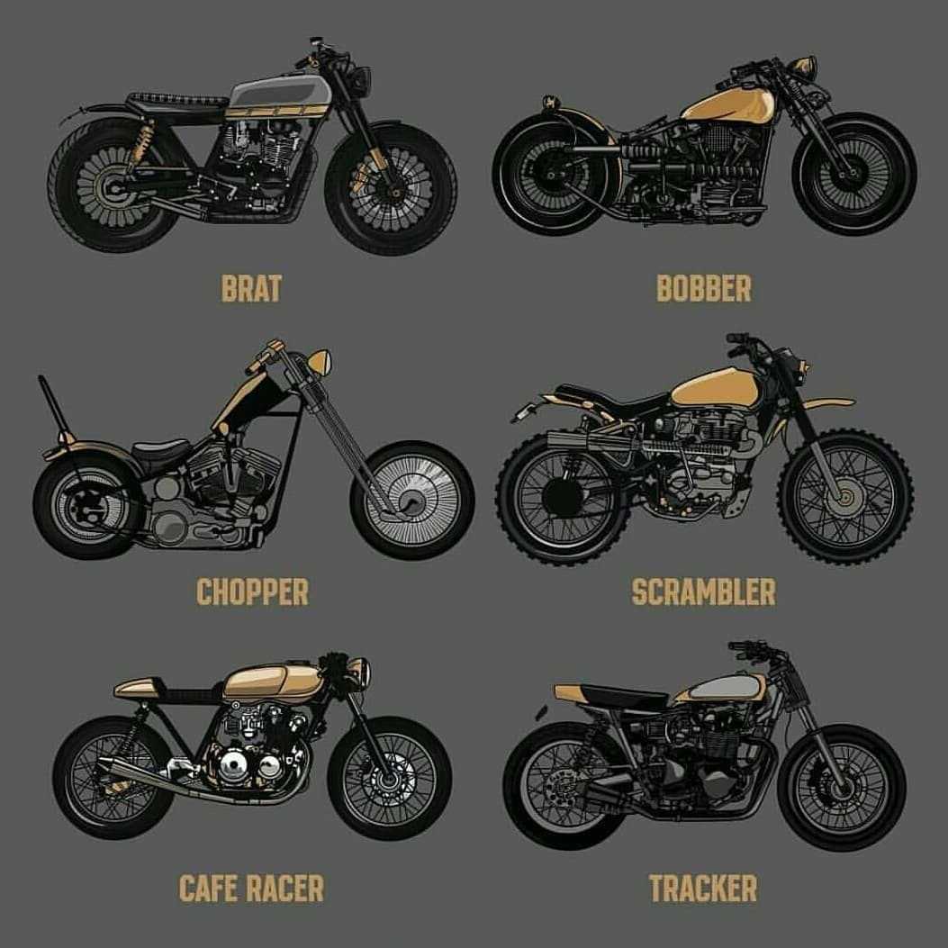 Мотосалон pitbiker » как выбрать мотоцикл для мотокросса